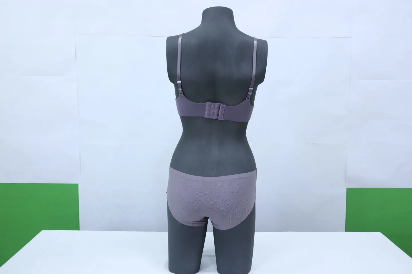 10057 - Comfortable Everyday Seamless Bra Sets with Standard Padding