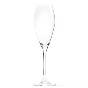 Jan Champagne Glasses 272ml Set Of 4