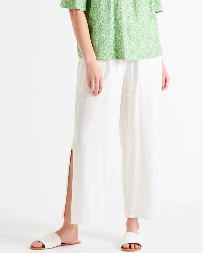 Reef pant (BB8211)
