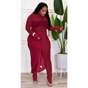 Sheer Mesh Long Sleeve Jumpsuit Cover Up Skirt Sets