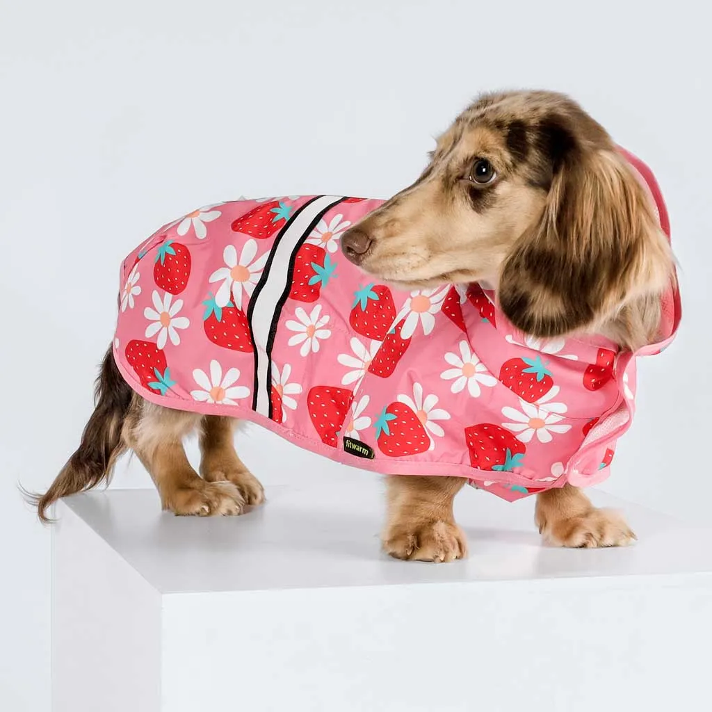 Strawberry Raincoat