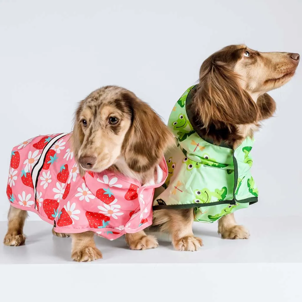Strawberry Raincoat